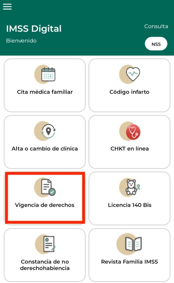Cómo saber si te están dando de alta con el sueldo correcto en el IMSS 1 Cómo saber si estoy dado de alta en el IMSS?