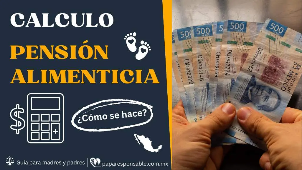 Cómo se calcula la pensión alimenticia? ¡Esto se toma en cuenta!